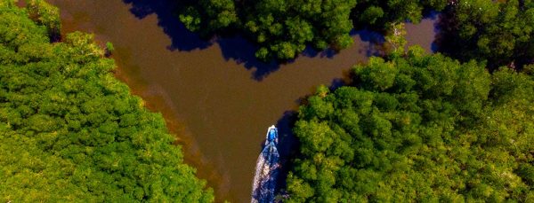 Sierpe mangroove tour Reservation