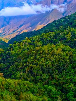 Sirena / San Pedrillo Overnight Reservation