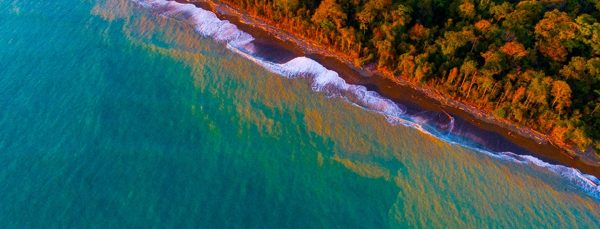 Plane ticket one way San Jose -Drake Bay or Drake Bay - San Jose 1