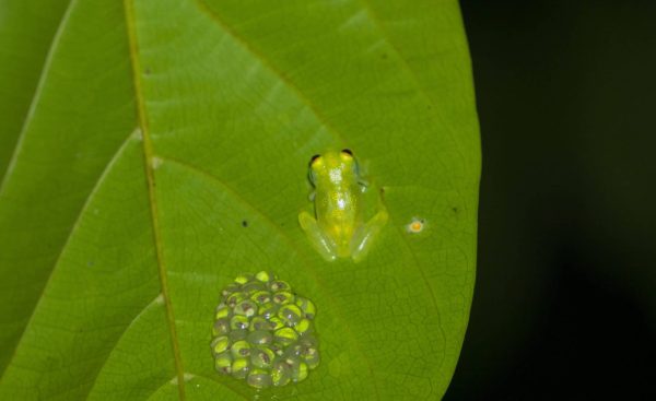 Bird Watching Tour Reservation