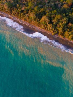 IMG-20190328-WA0043_1200x674.jpg Plane ticket through Sukia