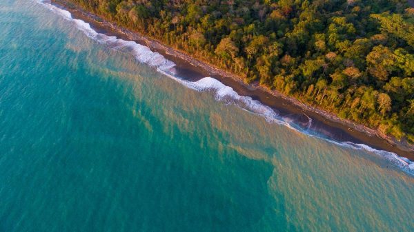 Copia de Custom Package