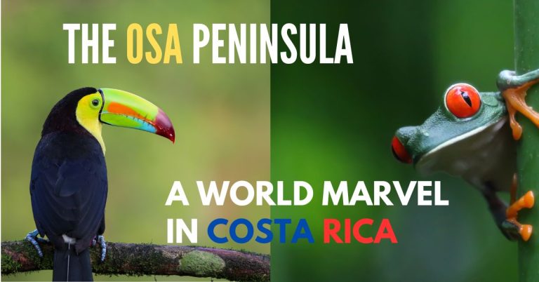 Osa Peninsula, a Marvel Wonder in Costa Rica