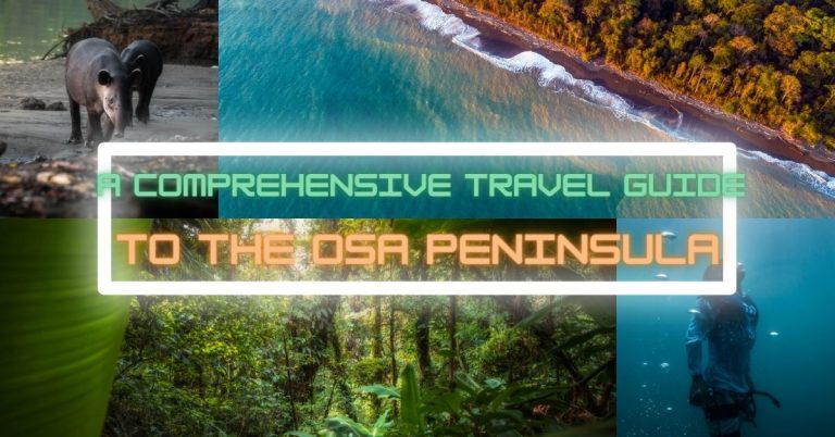 A Comprehensive Travel Guide to the Osa Peninsula