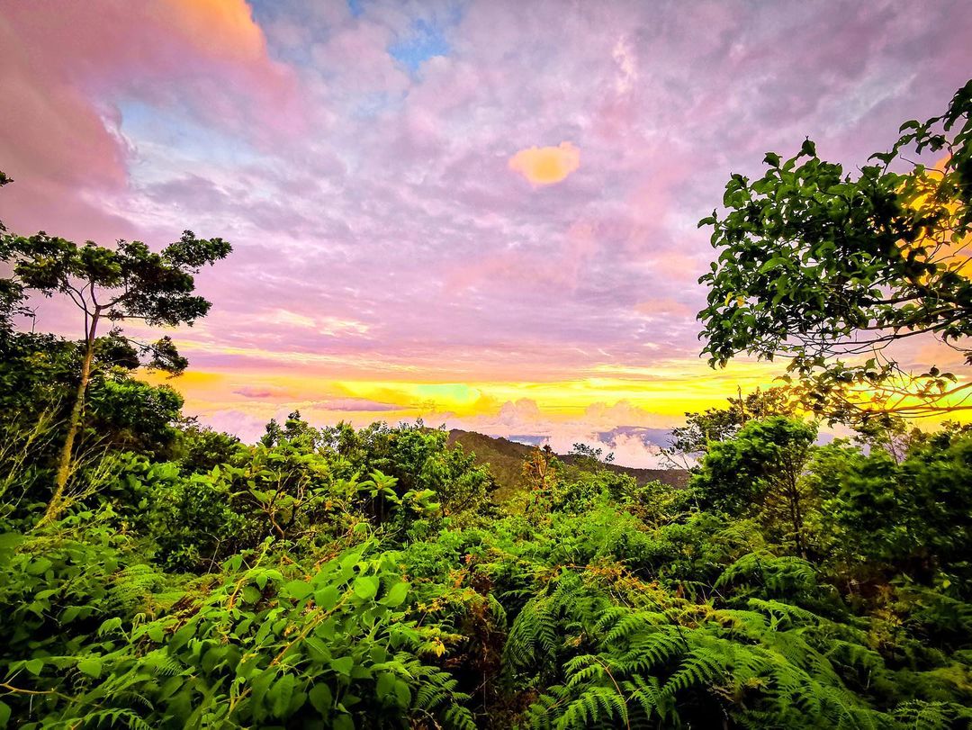 The Ultimate 6Day Costa Rica Jungle Adventure Tour in Osa Peninsula