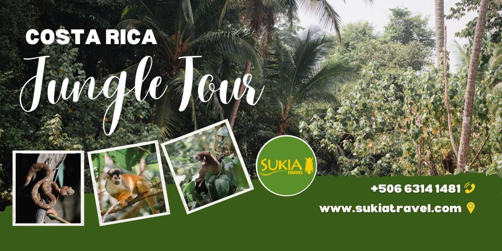 Costa Rica Jungle Tour