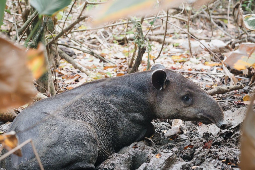 Adventure tour in Costa Rica