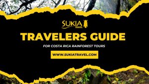 Costa Rica Rainforest Tours